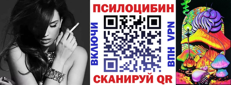 Купить где  Лысьва  Псилоцибиновые грибы Cubensis 